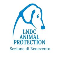 legadelcanebenevento