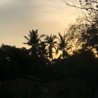 music_tierracaliente