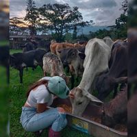 sofiamorales0572