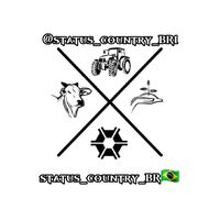 status_country_br1