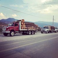 mendoza_883