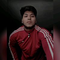 _anfibio_5_