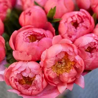 original sound - 0.loveis.0