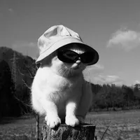 original sound - tiktokintheworld_