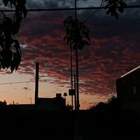 cuenta_no_encontrad319
