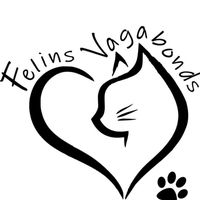 felinsvagabonds11