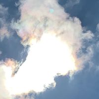 phonetok_