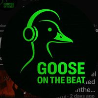 goose_onthebeat