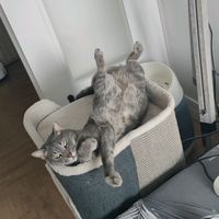 billietoutcourt