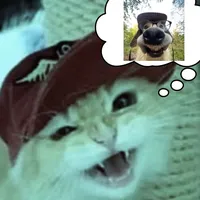 its my party by lesley gore