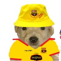 francisco0613_