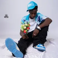 original sound - msb0441