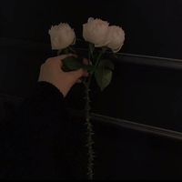 dany_461