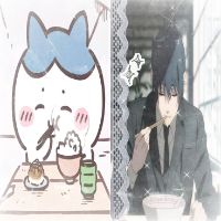 lychee.cat24