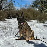 original sound - aperatures