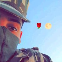 danger_dz44