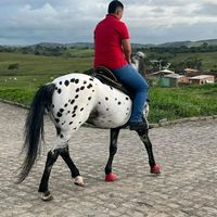 victorzx.00