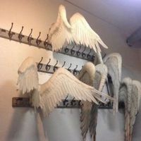 7 weeks and 3 days by yungatita