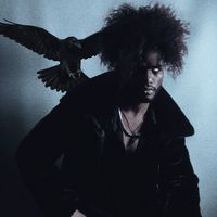 tear you apart_jordan fiction cover