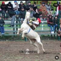 facugalarza16