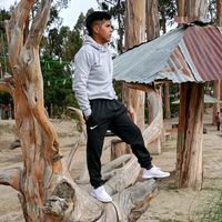 sonido original