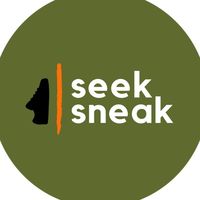 seeksneak