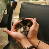 btsarmybadgirl_
