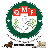 qmfsilagens