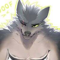 yasafelmorningstar