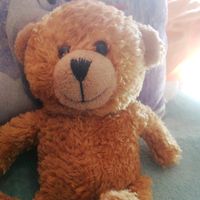 teddy_lours1