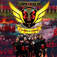 c.c.profesionalskyred