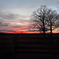 original sound - michelle.anderson.1