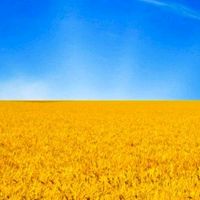 ukraina578