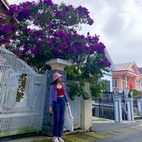 nhạc nền - huyen pham