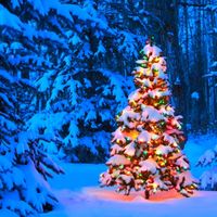 thatchristmasplug