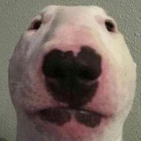 criminal slowed down