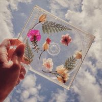 .perfectaccount