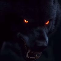 el.lobo.solitario.490