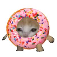 gatopikachu1234