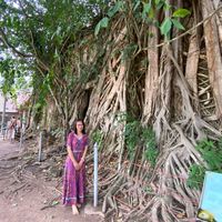 เสียงต้นฉบับ - Suttinee
