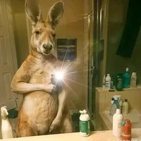 original sound - mollt92