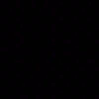 vibxss_075