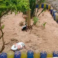 original sound - michel_a.m5