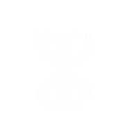 original sound - nassim_off