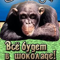 оригинальный звук