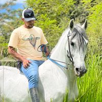 compra.y.venta.de026