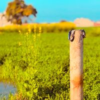 mera.punjab96