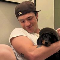 i bet on losing dogs