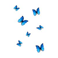 ._.um_perfil_alatorio_