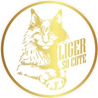 เสียงต้นฉบับ - ฟาร์มแมวเมนคูน LIGER SO CUTE